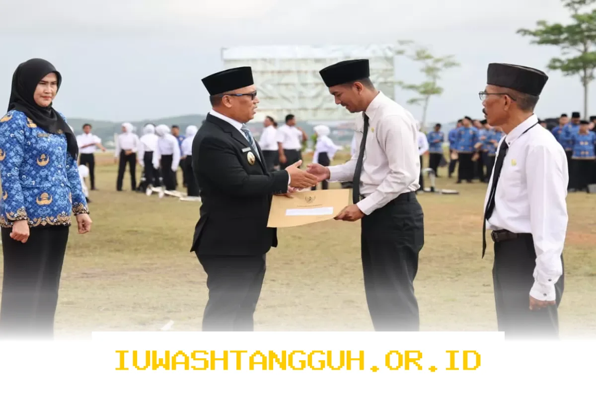 PPPK Tenaga Kontrak Akan Diputus Akibat Anggaran Pemda 2026 Terbatas? Ini Respons Resmi Kemendagri yang Tenangkan Pegawai
