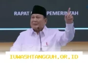 Presiden Prabowo Tegaskan Kunjungan ke Luar Negeri 2026 Bertujuan Pastikan Stabilitas Energi Nasional