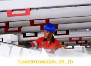 Program Magang Wilmar Tingkatkan Kesiapan Kerja Mahasiswa Menuju Tahun 2026