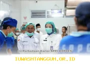 Program Pemerintah Tahun 2026: Perbedaan Karier antara SPPI KOPDES Merah Putih dan MBG yang Perlu Diketahui