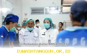 Program Pemerintah Tahun 2026: Perbedaan Karier antara SPPI KOPDES Merah Putih dan MBG yang Perlu Diketahui