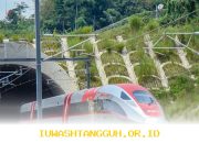 Proses Restrukturisasi Utang Whoosh Menuju Penyelesaian Akhir Tahun 2026 Ini Dia Penjelasan Resmi Dari Danantara