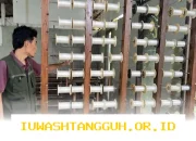 Proyeksi 2026 OJK Yakin Penyaluran Kredit UMKM Segera Pulih Setelah Sempat Alami Tekanan
