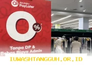 Proyeksi OJK: Kinerja Paylater Perusahaan Pembiayaan Diprediksi Naik Signifikan Pada Tahun 2026