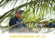 PTPN IV PalmCo Tingkatkan Sistem Deteksi Awal Karhutla dan Terapkan Strategi Agronomi untuk Antisipasi Musim Kemarau Berkepanjangan