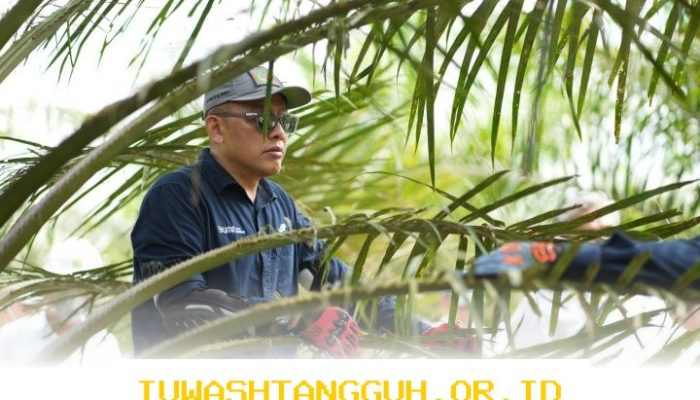 PTPN IV PalmCo Tingkatkan Sistem Deteksi Awal Karhutla dan Terapkan Strategi Agronomi untuk Antisipasi Musim Kemarau Berkepanjangan