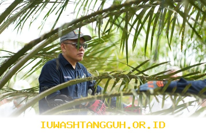 PTPN IV PalmCo Tingkatkan Sistem Deteksi Awal Karhutla dan Terapkan Strategi Agronomi untuk Antisipasi Musim Kemarau Berkepanjangan