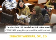 Rekor Baru 568.257 Peserta! 10 Jalur CPNS 2026 Ini Diprediksi Bakal Jadi Buruan Para Pelamar