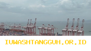 Rencana Penggabungan 15 Perusahaan Logistik BUMN Diproyeksikan Selesai dalam 30 Hari Menuju 2026