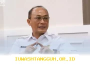 Respons BKN soal Polemik Alih Status PPPK ke CPNS Tahun 2026: Ini Kata-kata Resmi Terbaru dari Badan Kepegawaian Negara