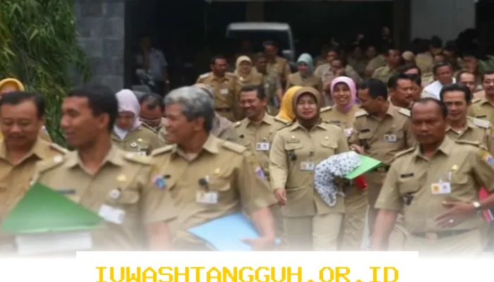 Rincian Gaji PNS 2026 Berdasarkan Ijazah Terakhir, Simak Sebelum Daftar CPNS