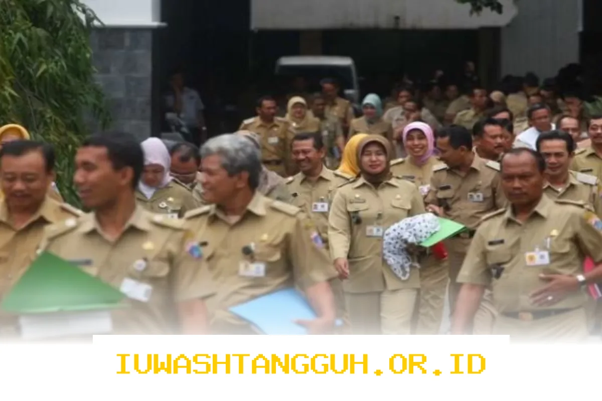 Rincian Gaji PNS 2026 Berdasarkan Ijazah Terakhir, Simak Sebelum Daftar CPNS