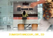 Segmen UMKM Masih Jadi Penyumbang Terbesar Penyaluran Kredit BRI di Kuartal 1 2026
