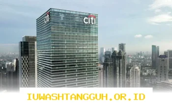 Sektor Utama yang Mendorong Pertumbuhan Kredit Citi Indonesia Sepanjang Tahun 2026
