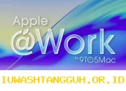 Solusi Modern Kelola 500+ Perangkat Kantor dengan PocketMDM Terintegrasi Apple Business Manager 2026
