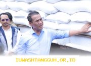 Stok Beras Nasional Capai 4,6 Juta Ton di 2026, Mentan Yakin Cukup Hadapi Geopolitik dan El Nino