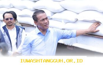 Stok Beras Nasional Capai 4,6 Juta Ton di 2026, Mentan Yakin Cukup Hadapi Geopolitik dan El Nino