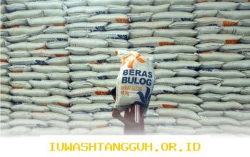 Stok Beras Nasional Capai 5 Juta Ton di 2026, Ketahanan Pangan Indonesia Semakin Terjaga