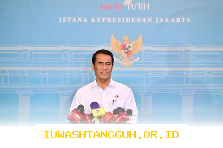 Stok Beras Nasional Masih Aman di 4,5 Juta Ton Hingga 2026, Ketahanan Pangan Indonesia Tetap Kokoh