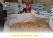 Stok Kedelai Nasional Aman Hingga 2026 dengan Harga Terkendali di Bawah HAP