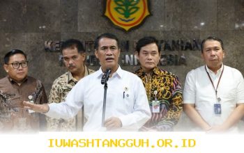 Stok Pangan Strategis Nasional 2026 Dipastikan Cukup dan Aman untuk Kebutuhan Masyarakat