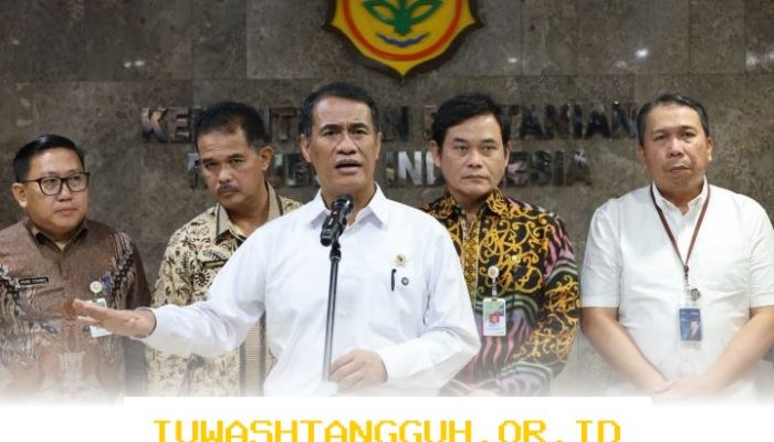 Stok Pangan Strategis Nasional 2026 Dipastikan Cukup dan Aman untuk Kebutuhan Masyarakat