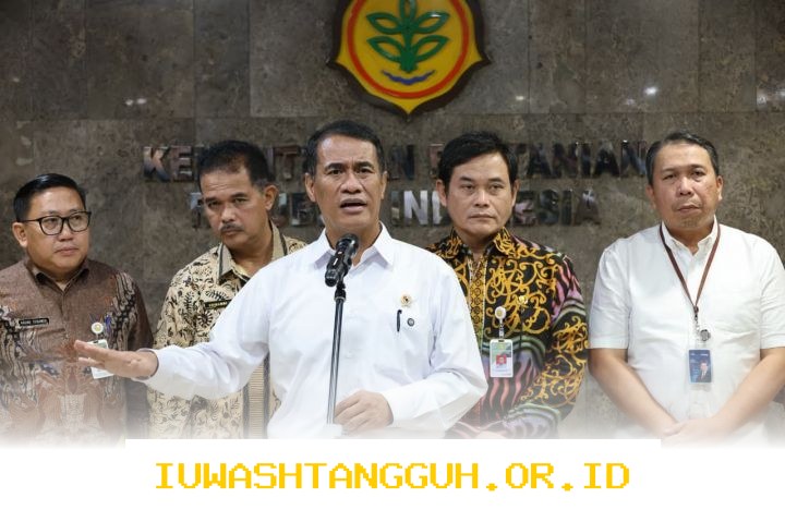 Stok Pangan Strategis Nasional 2026 Dipastikan Cukup dan Aman untuk Kebutuhan Masyarakat