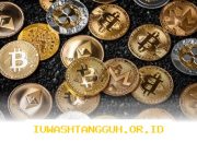 Strategi Efektif Mengelola Aset Kripto yang Fluktuatif untuk Profit Maksimal di 2026