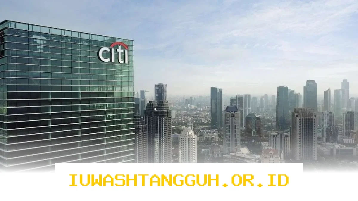 Strategi Ekspansi Bisnis Citi Indonesia Makin Mantap dengan Dukungan 1 Pipeline Kredit