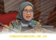Syarat Pengalaman Kerja Pelamar CPNS 2026 Resmi Ditetapkan oleh Menpan RB, Ini Rinciannya!
