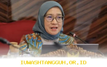Syarat Pengalaman Kerja Pelamar CPNS 2026 Resmi Ditetapkan oleh Menpan RB, Ini Rinciannya!