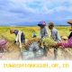 Target Penyerapan 4 Juta Ton Beras oleh Bulog Diprediksi Terpenuhi pada 2026 dengan Tingkat Optimisme Tinggi dari Direktur Utama Perusahaan