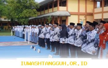 TPG untuk Guru PNS dan PPPK Tak Cair Lagi, Simak 5 Faktor Penyebabnya pada 2026 Ini!