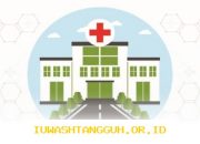 Transformasi Digital RS dan Industri Asuransi Wujudkan Layanan Kesehatan Premium 2026