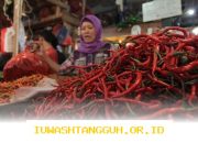 Update Harga Terbaru 2026 untuk Komoditas Telur Ayam dan Bawang Merah di Akhir Pekan