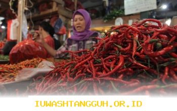 Update Harga Terbaru 2026 untuk Komoditas Telur Ayam dan Bawang Merah di Akhir Pekan