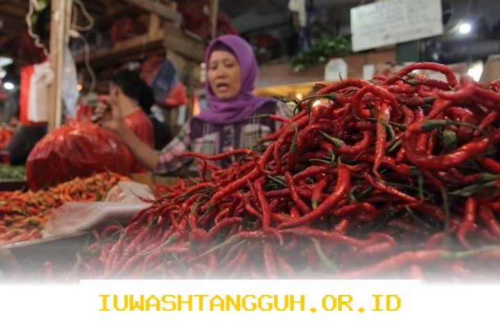Update Harga Terbaru 2026 untuk Komoditas Telur Ayam dan Bawang Merah di Akhir Pekan