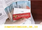 Update Status 2 Bank Penyalur di SIKS-NG Tahun 2026 Bansos PKH dan BPNT Segera Disalurkan