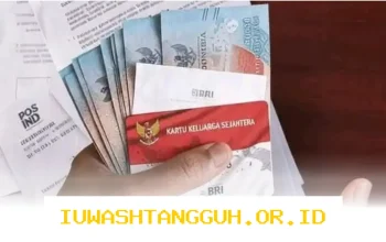 Update Status 2 Bank Penyalur di SIKS-NG Tahun 2026 Bansos PKH dan BPNT Segera Disalurkan