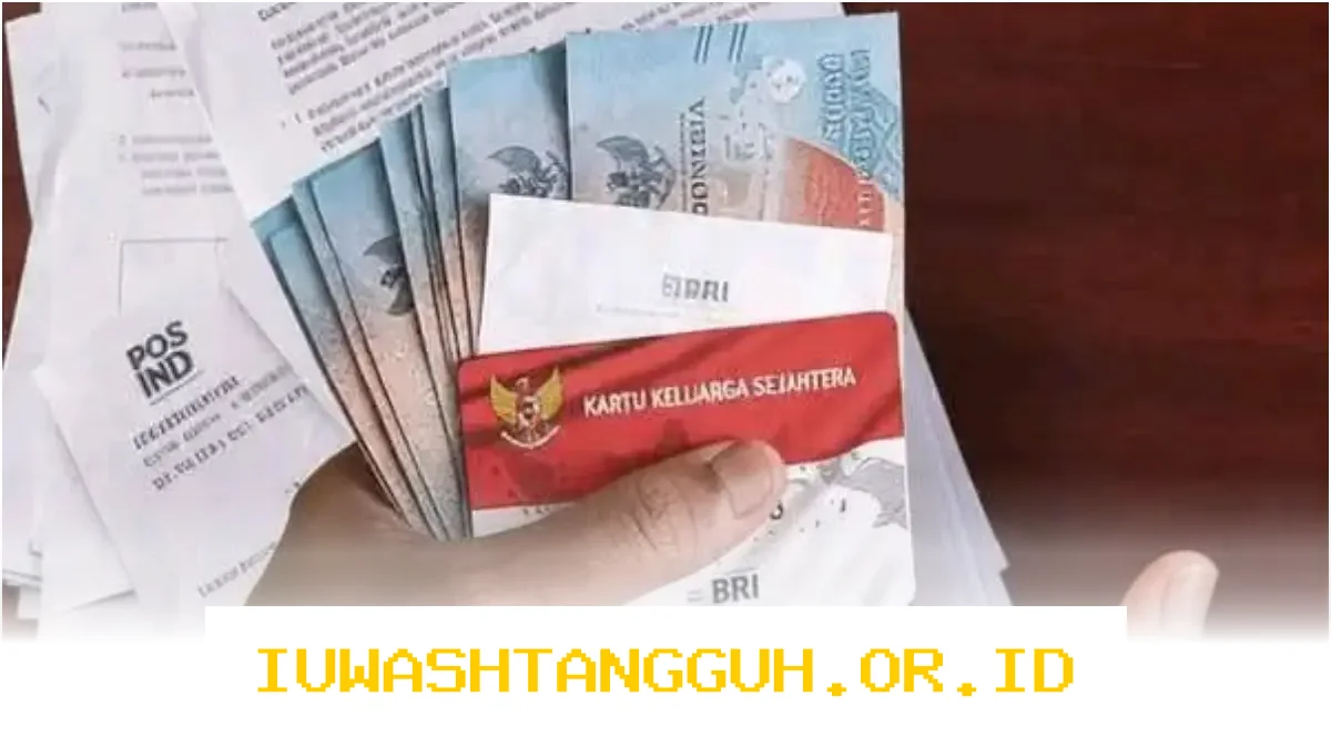 Update Status 2 Bank Penyalur di SIKS-NG Tahun 2026 Bansos PKH dan BPNT Segera Disalurkan