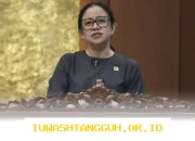 Usulan Kenaikan Gaji Guru Honorer Jadi Rp5 Juta per Bulan Didukung Kuat di Parlemen, DPR Siap Bahas ke 2026