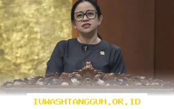 Usulan Kenaikan Gaji Guru Honorer Jadi Rp5 Juta per Bulan Didukung Kuat di Parlemen, DPR Siap Bahas ke 2026