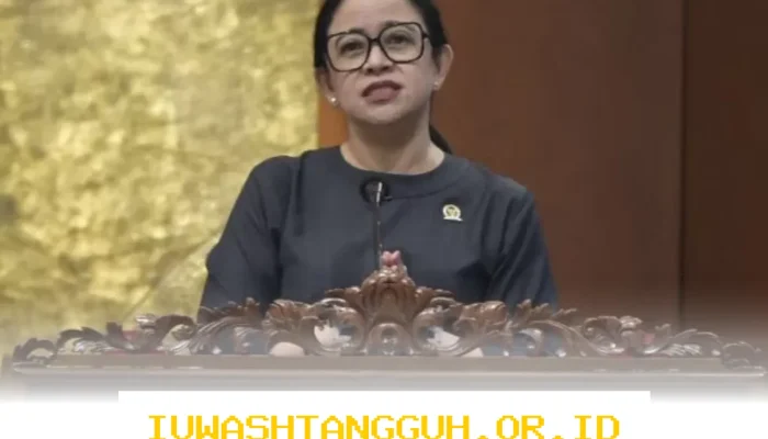 Usulan Kenaikan Gaji Guru Honorer Jadi Rp5 Juta per Bulan Didukung Kuat di Parlemen, DPR Siap Bahas ke 2026