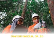 Weda Bay Nickel Tingkatkan Standar Keselamatan dan Pengelolaan Lingkungan Tahun 2026