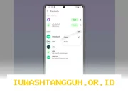 WhatsApp Perbarui Fitur Online Tersembunyi Versi 2026 Tanpa Harus Buka Riwayat Chat