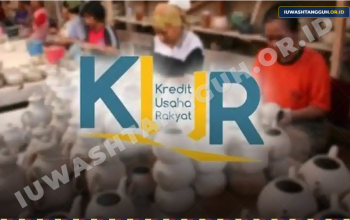 Pengajuan KUR BRI Gagal Terus? Ini Penyebab, Cara Cek BI Checking, dan Solusi Perbaiki Kredit
