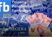 Cara Daftar FB Pro agar Dapat Uang, Panduan Terlengkap untuk Kreator Indonesia!