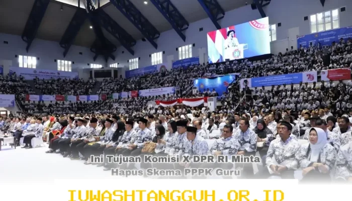 Alasan Komisi X DPR RI Mengubah Skema PPPK Guru Menjadi CPNS yang Berlaku Tahun 2026