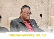 Alasan Rekrutmen PPPK 2026 Lebih Besar Karena Aturan Pemberhentian PNS Masih Sangat Rumit