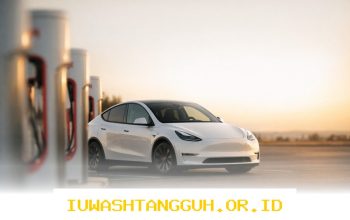 Analisis Pergerakan Harga Saham Tesla TSLA pada Mei 2026 Apakah Layak untuk Dikoleksi